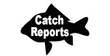 reports